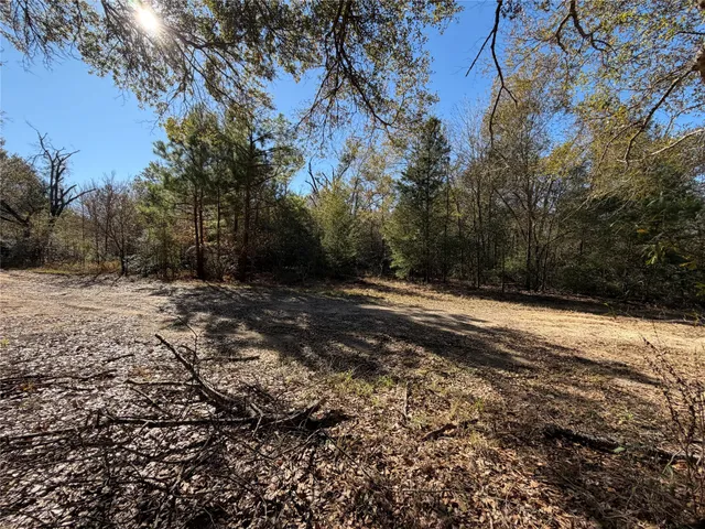 $75,000 | 9301 Puddin Lane, Madisonville, TX 77864