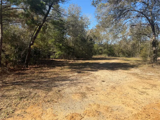 $75,000 | 9301 Puddin Lane, Madisonville, TX 77864