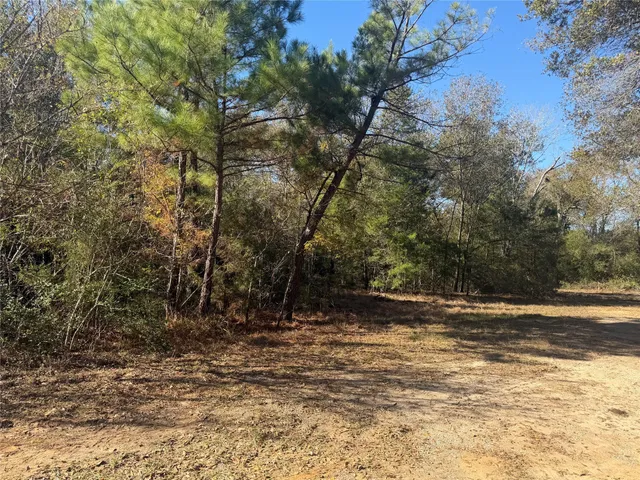 $75,000 | 9301 Puddin Lane, Madisonville, TX 77864