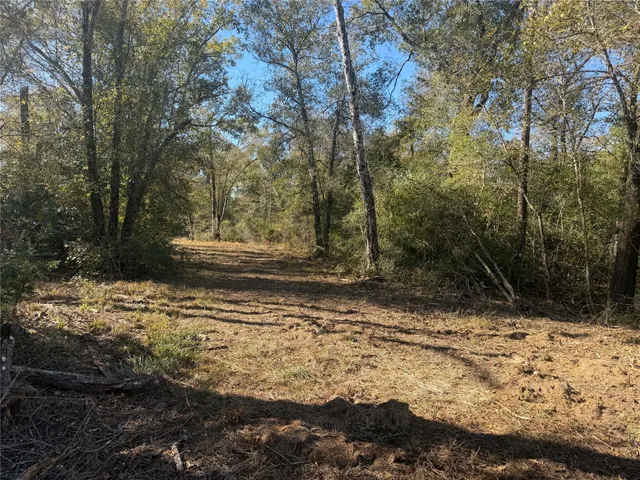 $75,000 | 9301 Puddin Lane, Madisonville, TX 77864