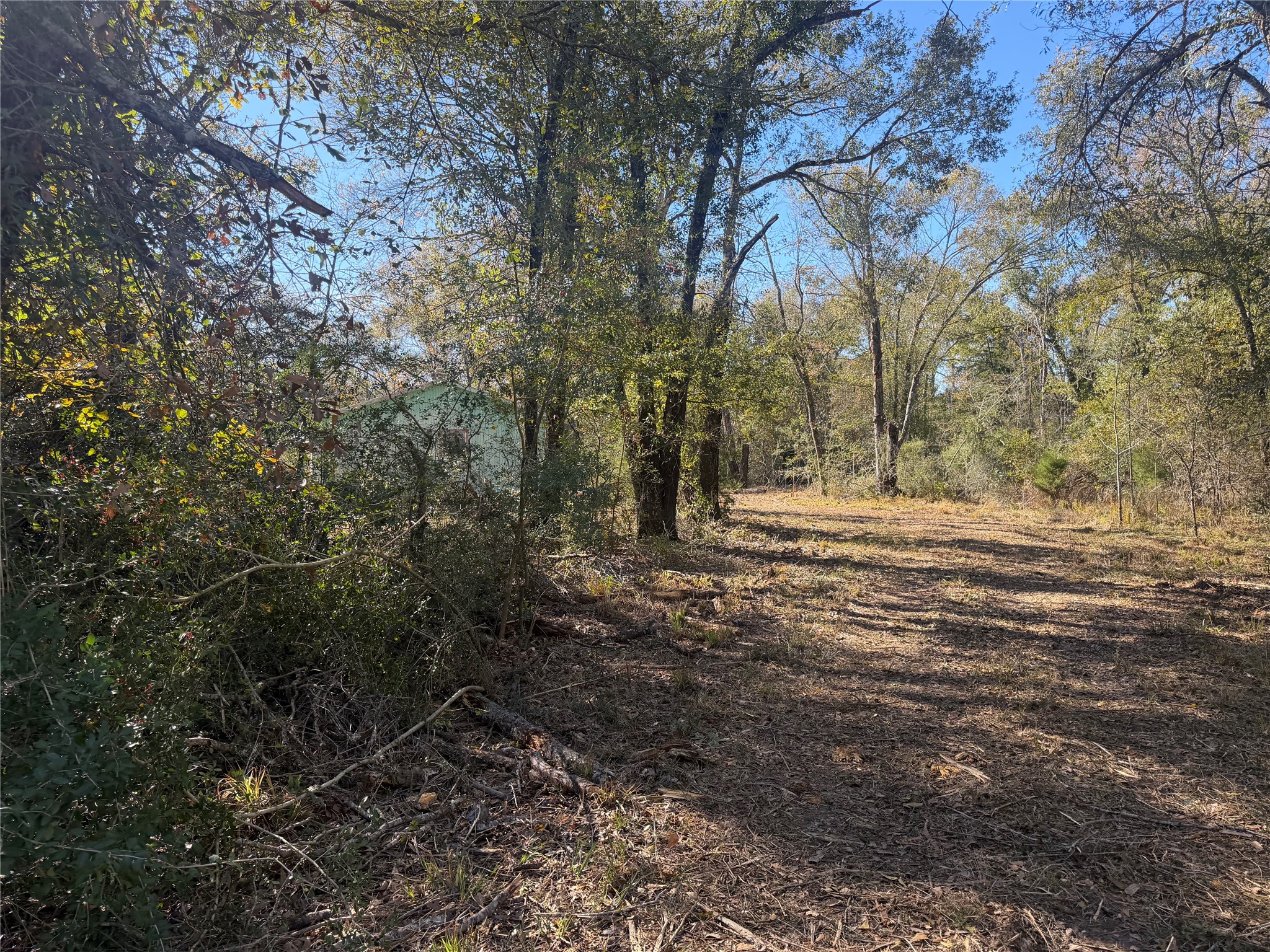 9301 Puddin Lane Madisonville, TX 77864 - Photo 7 of 20