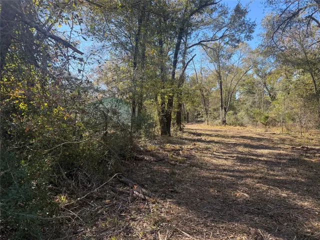 $75,000 | 9301 Puddin Lane, Madisonville, TX 77864