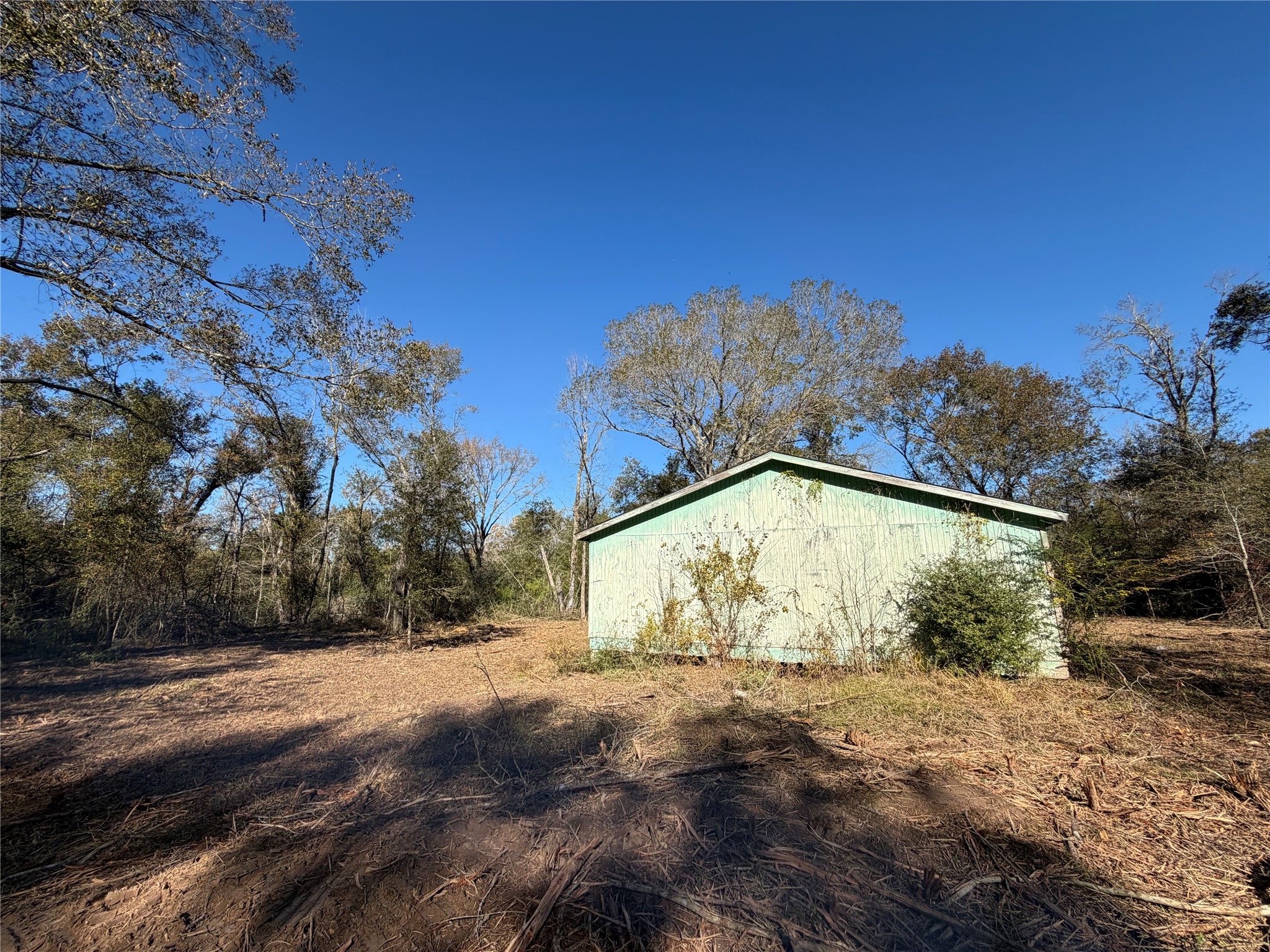 9301 Puddin Lane Madisonville, TX 77864 - Photo 8 of 20