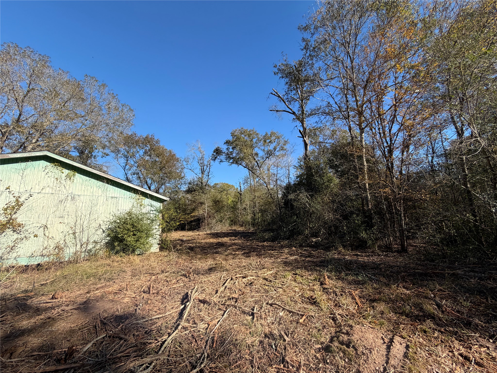 9301 Puddin Lane Madisonville, TX 77864 - Photo 10 of 20