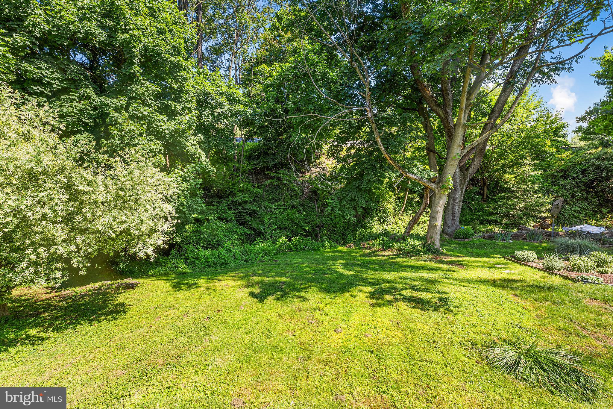 26 Virginia Circle Ridley Park, PA 19078 - Photo 49 of 49 a view of a trees in a yard
