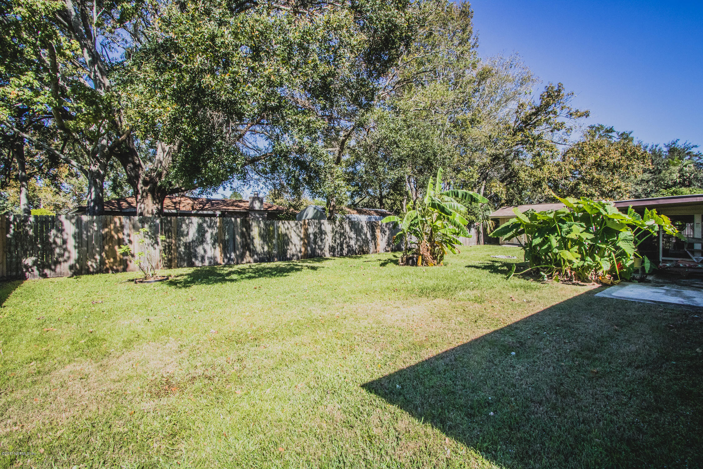 2178 George Wythe Road Orange Park, FL 32073 - Photo 24 of 29 Back Yard