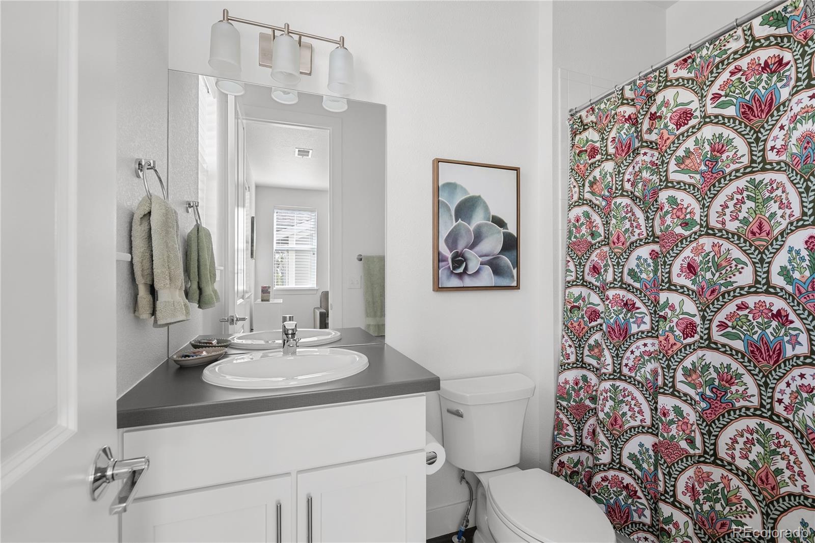 2027 Vallejo Loop Broomfield, CO 80023 - Photo 30 of 50 a bathroom with a sink and a mirror with toilet