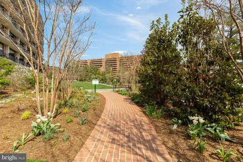a view of a yard with plants and trees