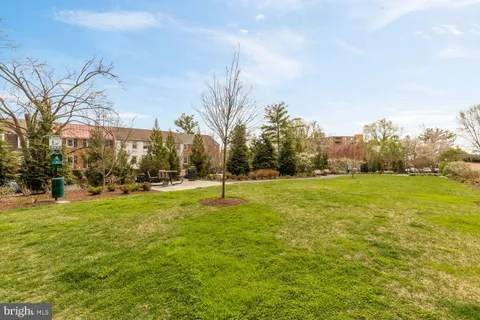 a view of a yard with plants and trees