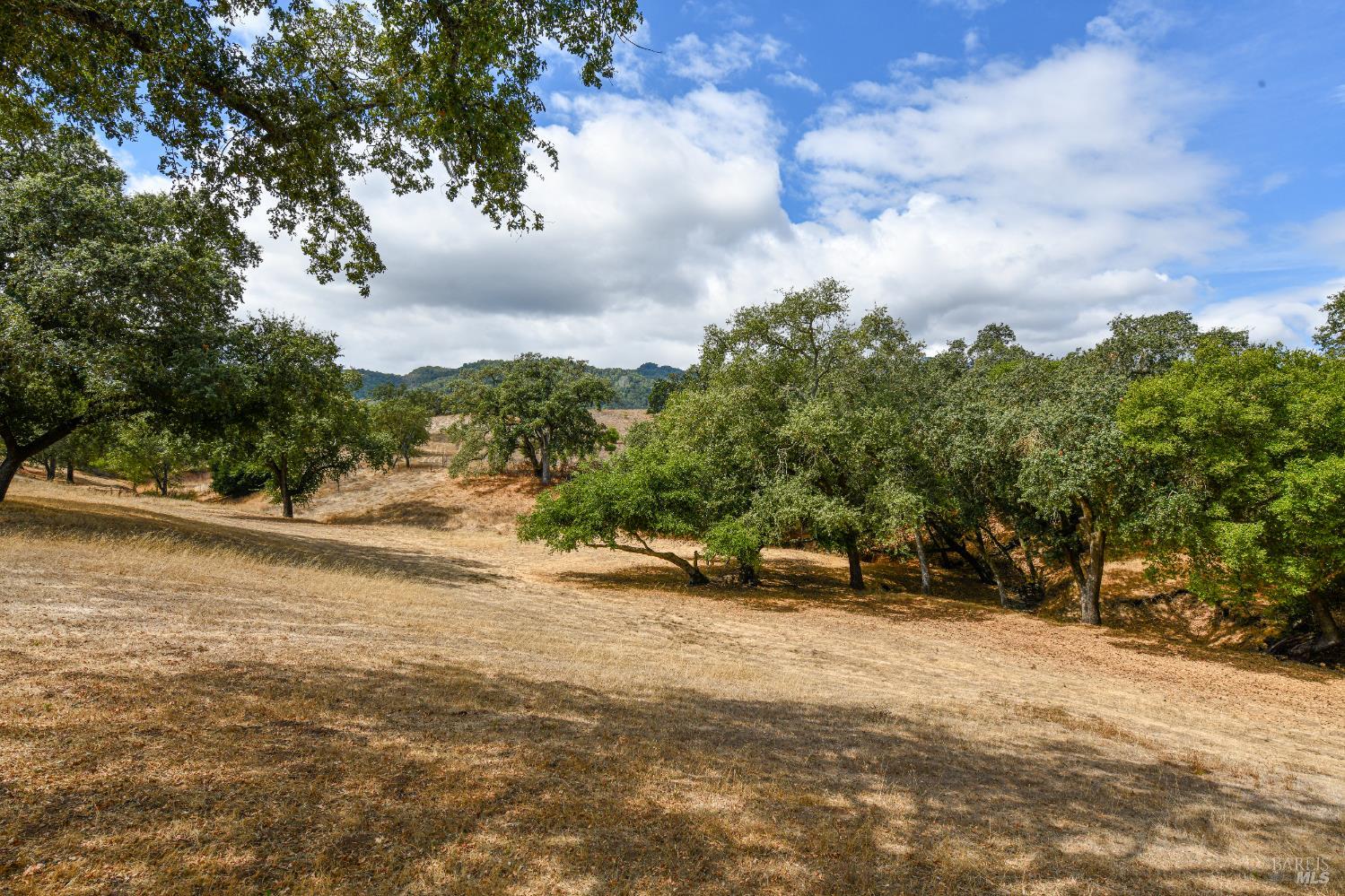 1219 Repetto Ranch Road Sonoma, CA 95476 - Photo 41 of 54
