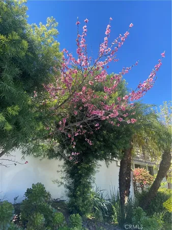 $5,900 | 17041 Escalon Drive, Encino, CA 91436