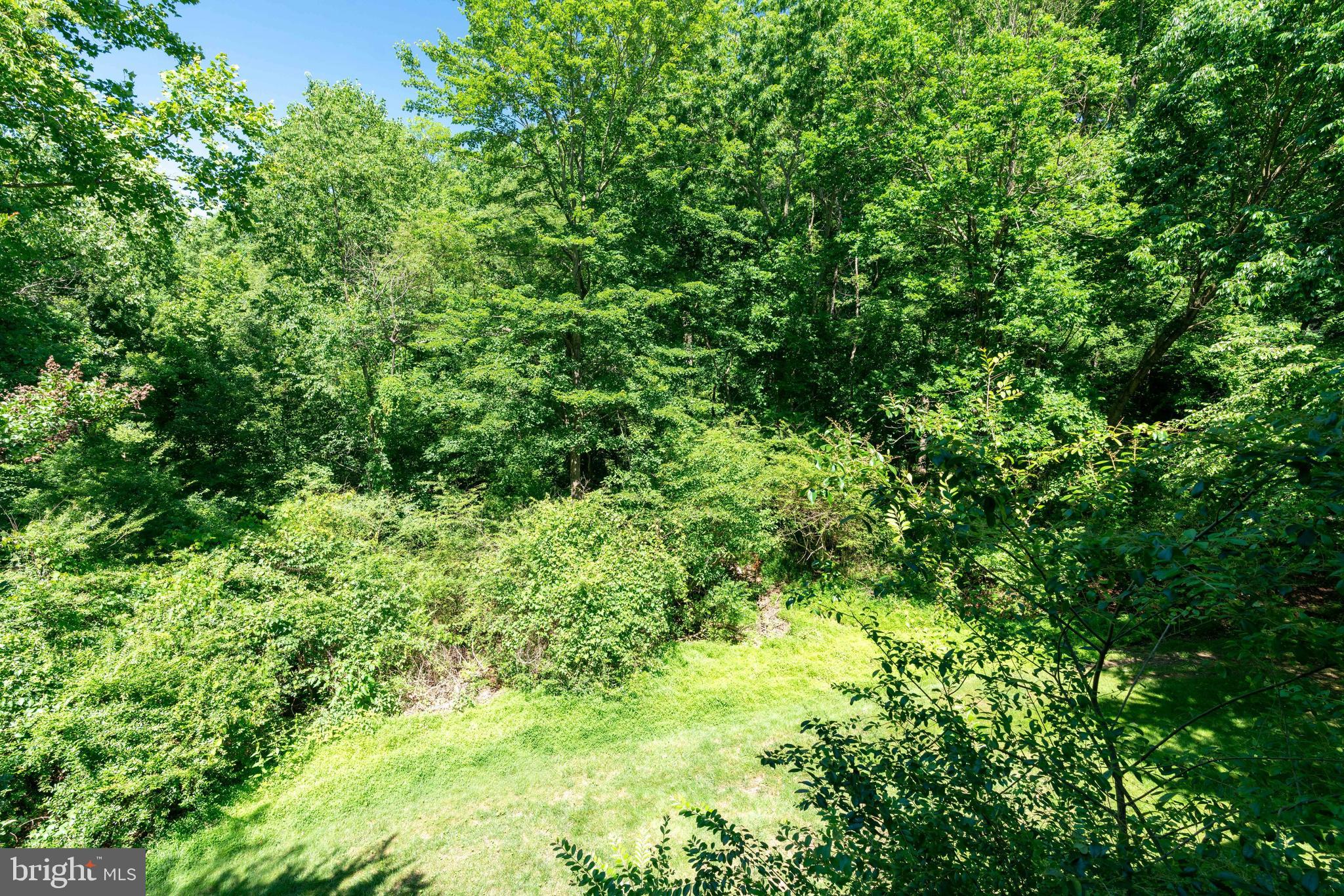 5905 Bayshire Road, Unit 184 Springfield, VA 22152 - Photo 35 of 48 gorgeous forested views!