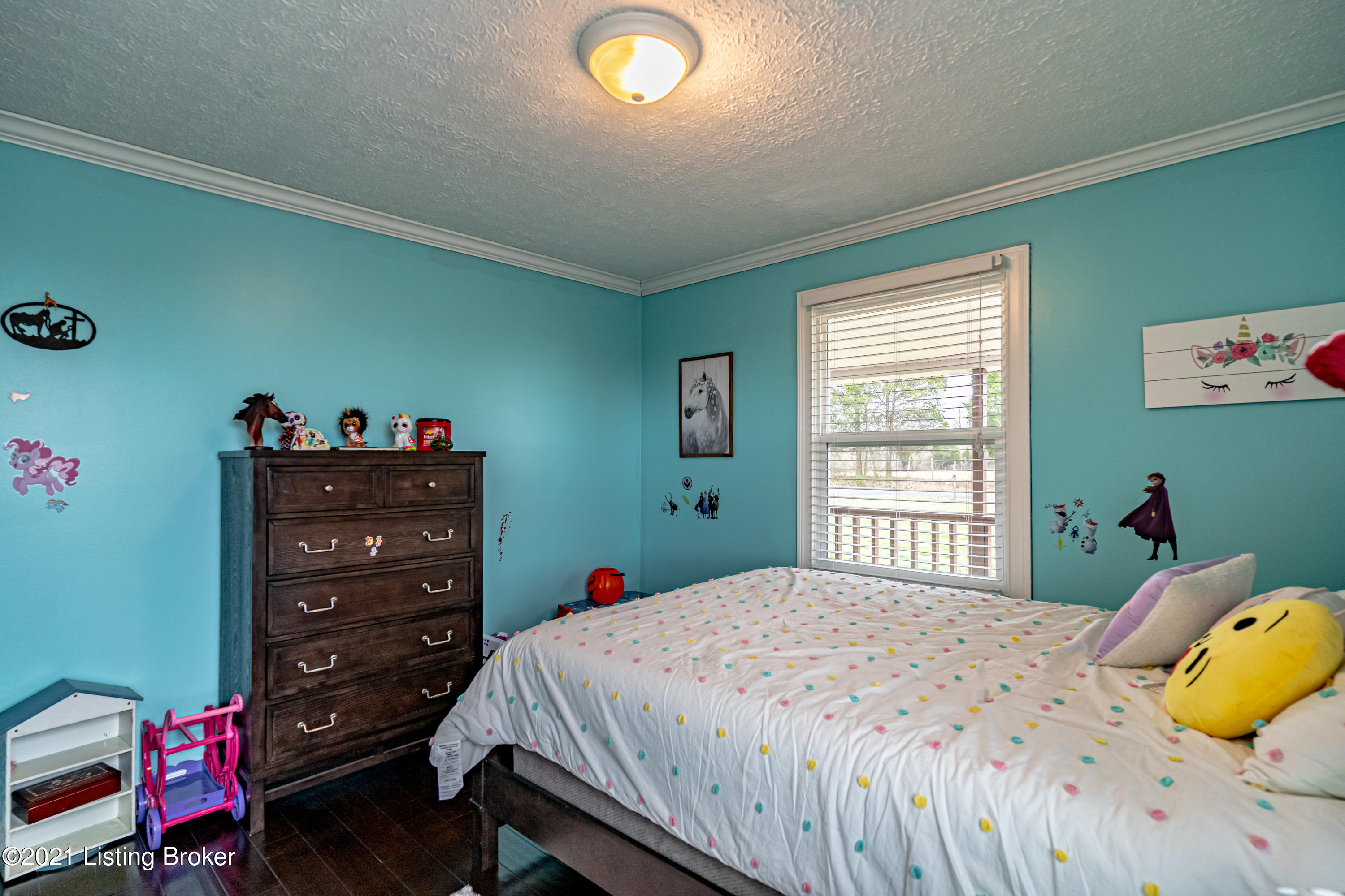 668 Salem Church Road Bee Spring, KY 42207 - Photo 28 of 92 DSC00485