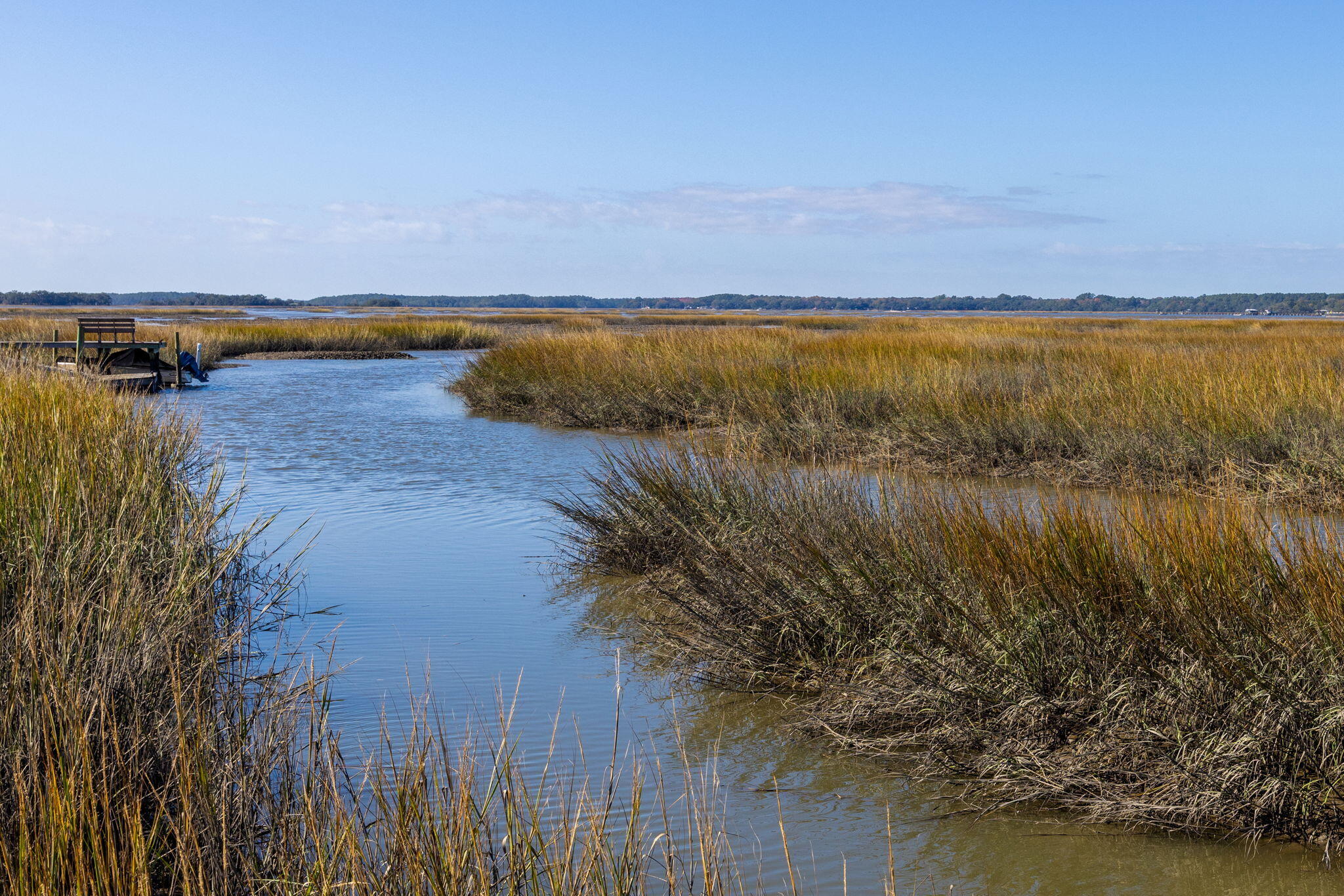 0 Polly Point Road Wadmalaw Island, SC 29487 - Photo 9 of 10 Creek