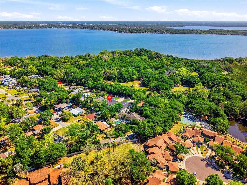 2376 Rajel Avenue Safety Harbor, FL 34695 - Photo 41 of 63