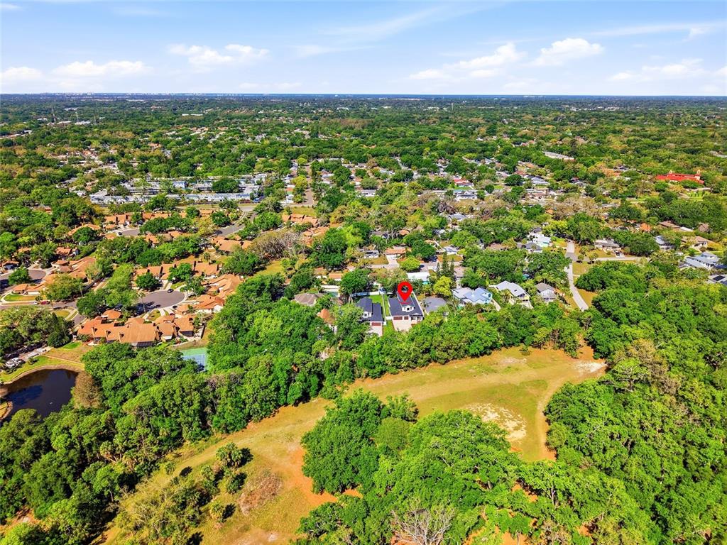 2376 Rajel Avenue Safety Harbor, FL 34695 - Photo 44 of 63