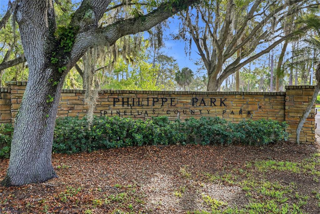 2376 Rajel Avenue Safety Harbor, FL 34695 - Photo 47 of 63