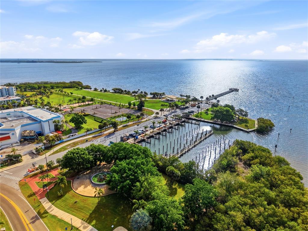 2376 Rajel Avenue Safety Harbor, FL 34695 - Photo 58 of 63