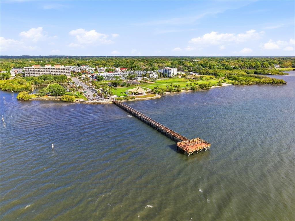 2376 Rajel Avenue Safety Harbor, FL 34695 - Photo 60 of 63