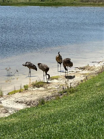 a view of outside space with a lake view