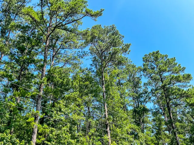 $95,000 | 2 Highway 87 South, Milam, TX 75959