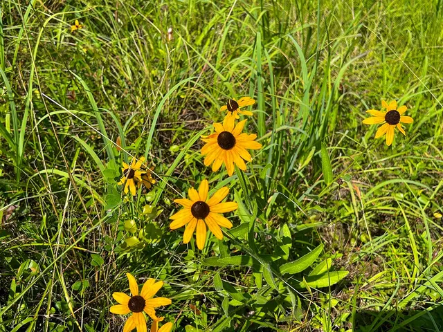 $95,000 | 2 Highway 87 South, Milam, TX 75959