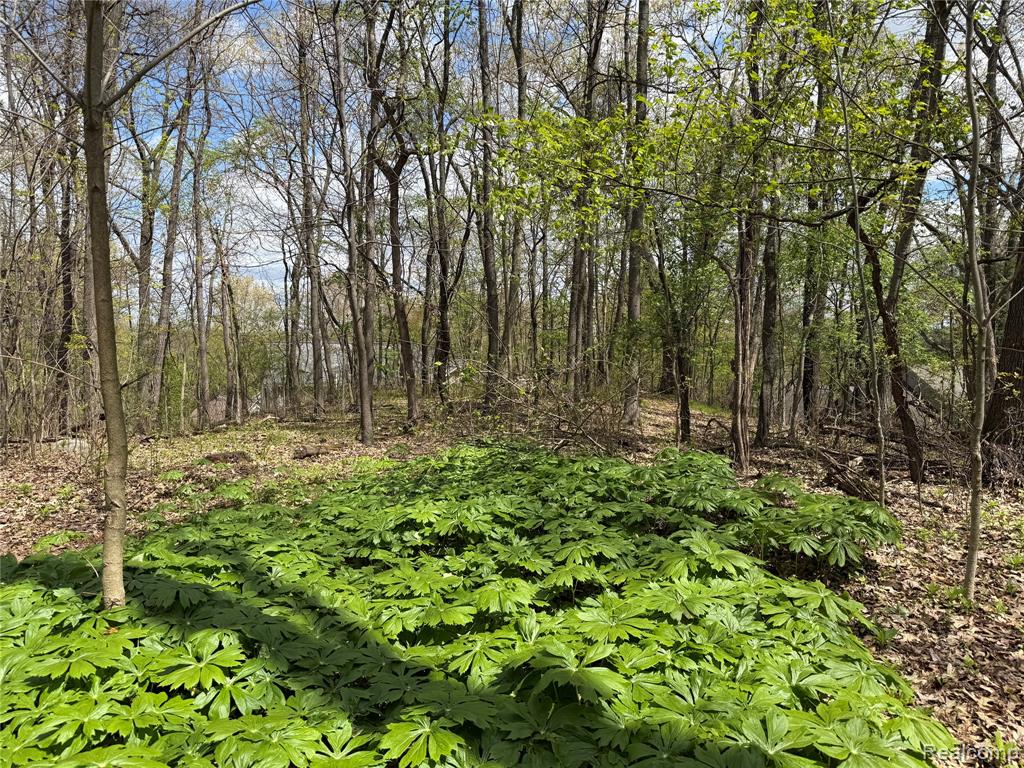 Lot 25 Hidden Ridge Trail Bloomfield Hills, MI 48304 - Photo 6 of 7