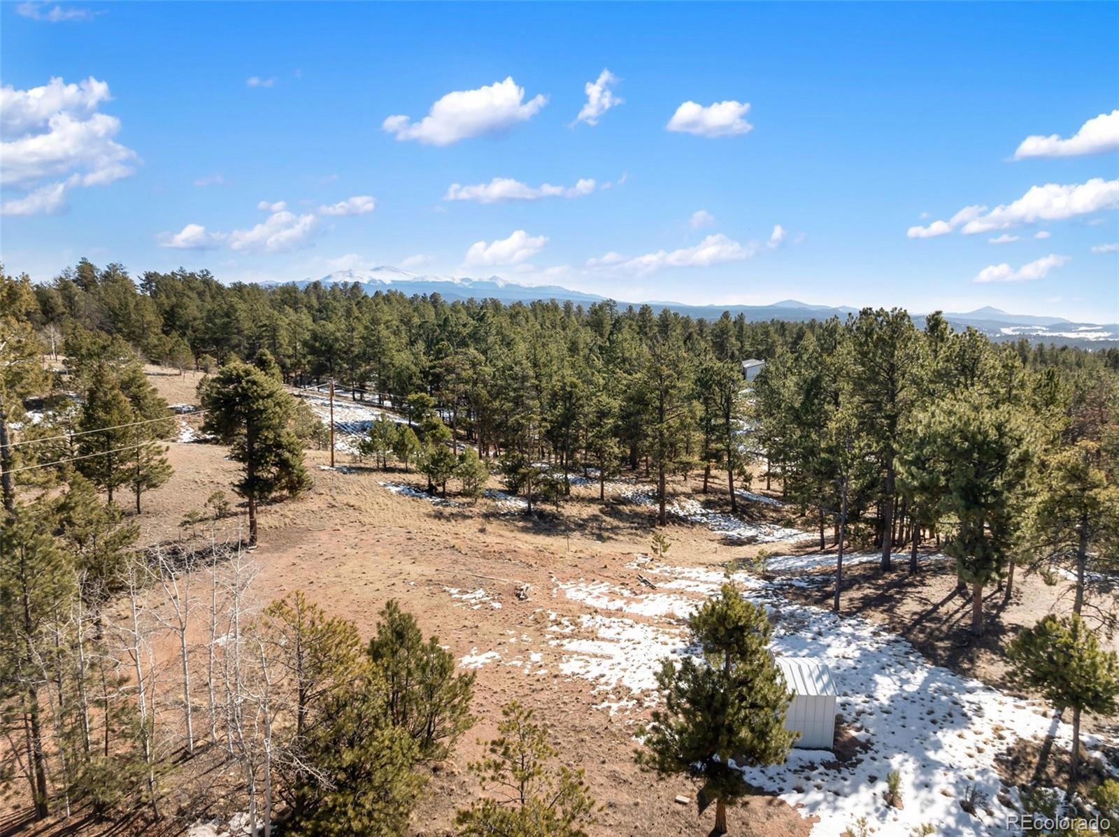 530 Columbine Road Florissant, CO 80816 - Photo 12 of 20 a view of a covered with green space