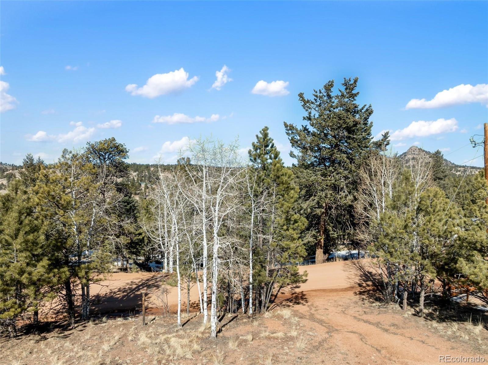 530 Columbine Road Florissant, CO 80816 - Photo 17 of 20 a view of a city