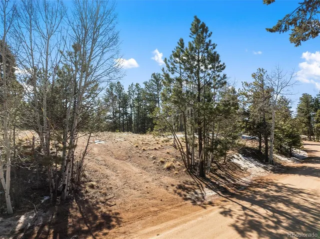 a view of outdoor space with trees