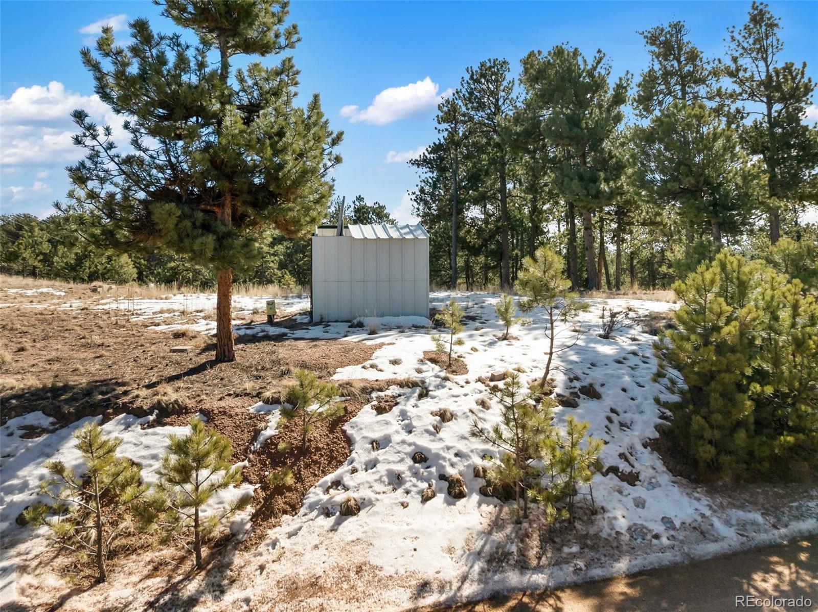 530 Columbine Road Florissant, CO 80816 - Photo 4 of 20 a view of a yard with trees