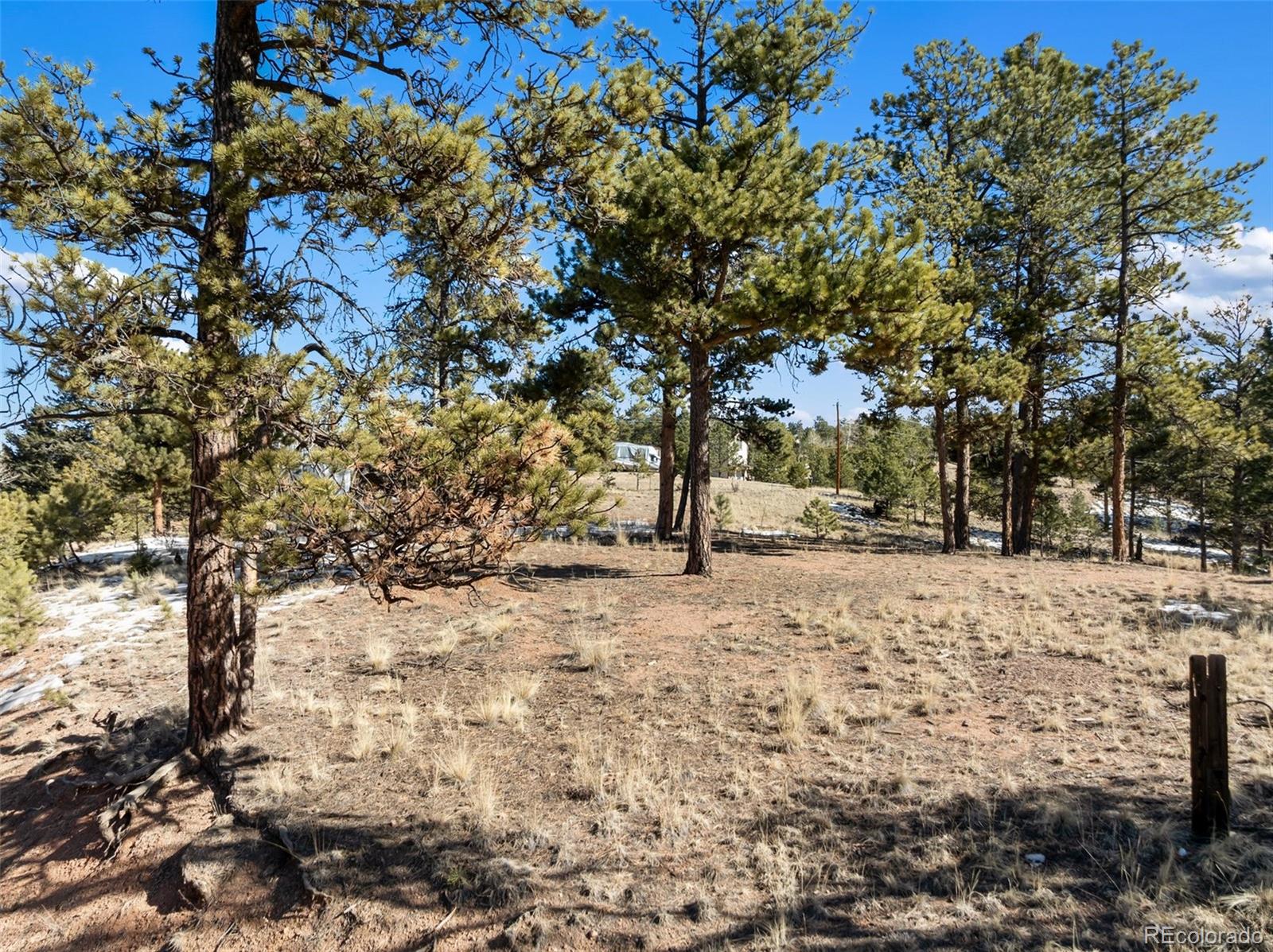 530 Columbine Road Florissant, CO 80816 - Photo 6 of 20 a view of a yard covered with snow in the yard