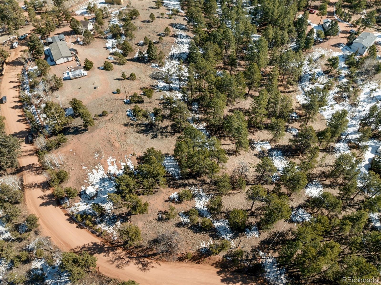 530 Columbine Road Florissant, CO 80816 - Photo 8 of 20 a view of a tree
