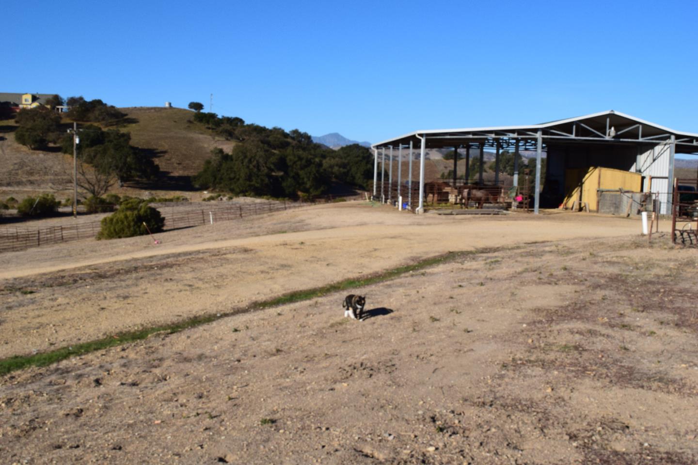 53650 Oasis Road King City, CA 93930 - Photo 40 of 63 Gallery Image 40
