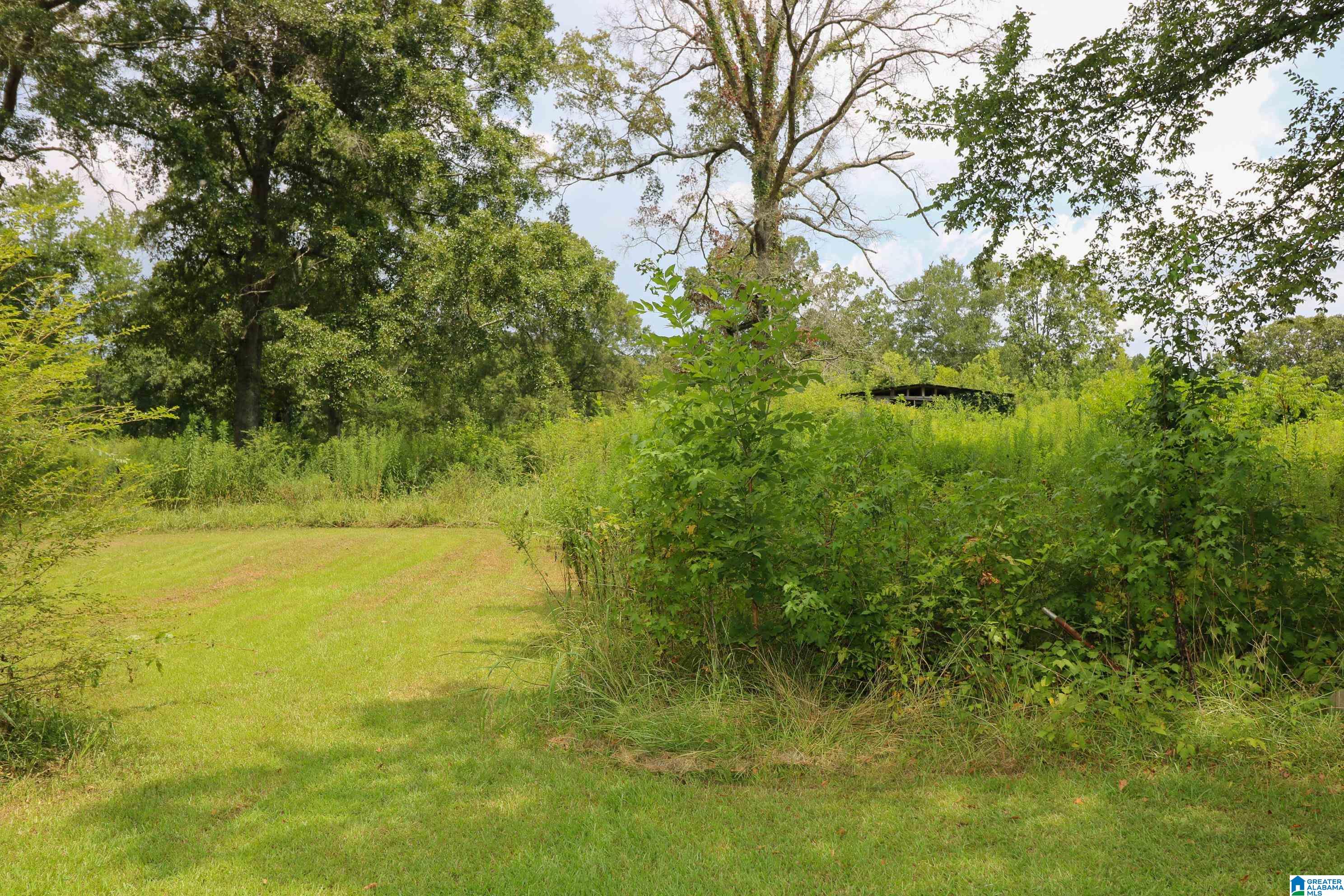 1611 Sprayberry Road Pell City, AL 35125 - Photo 35 of 39