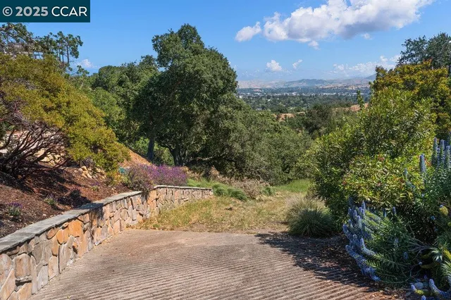 a view of a dry yard