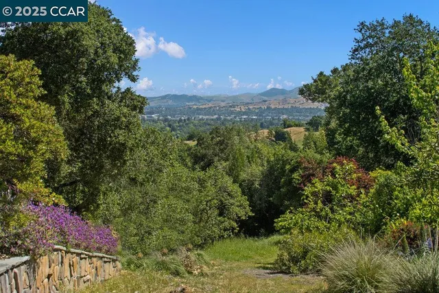 a view of a bunch of trees