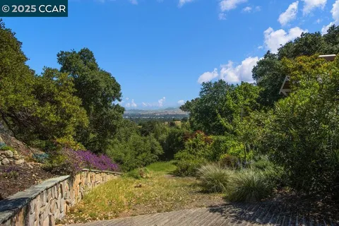 a view of a bunch of trees and bushes
