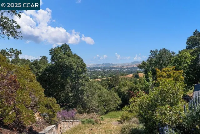a view of a lake in middle of forest