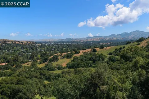 a view of a city with lush green forest