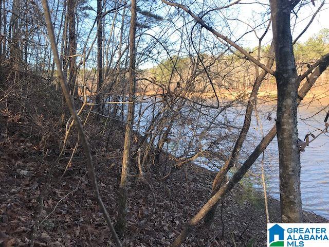 Lot 2 Emily Avenue, Unit 2 Lineville, AL 36266 - Photo 8 of 12