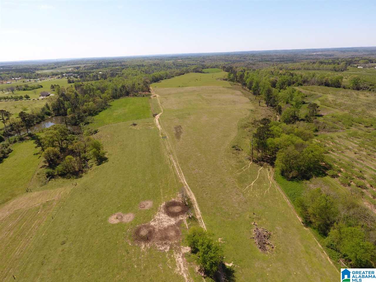 0 County Road 30, Unit 1 Clanton, AL 35045 - Photo 17 of 32