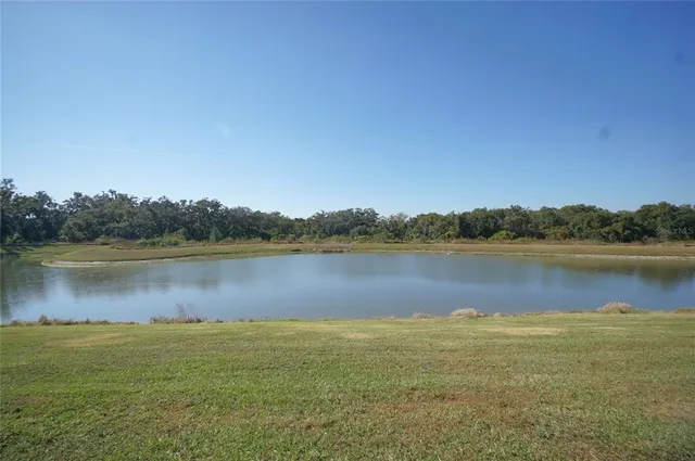 a view of a lake from a yard