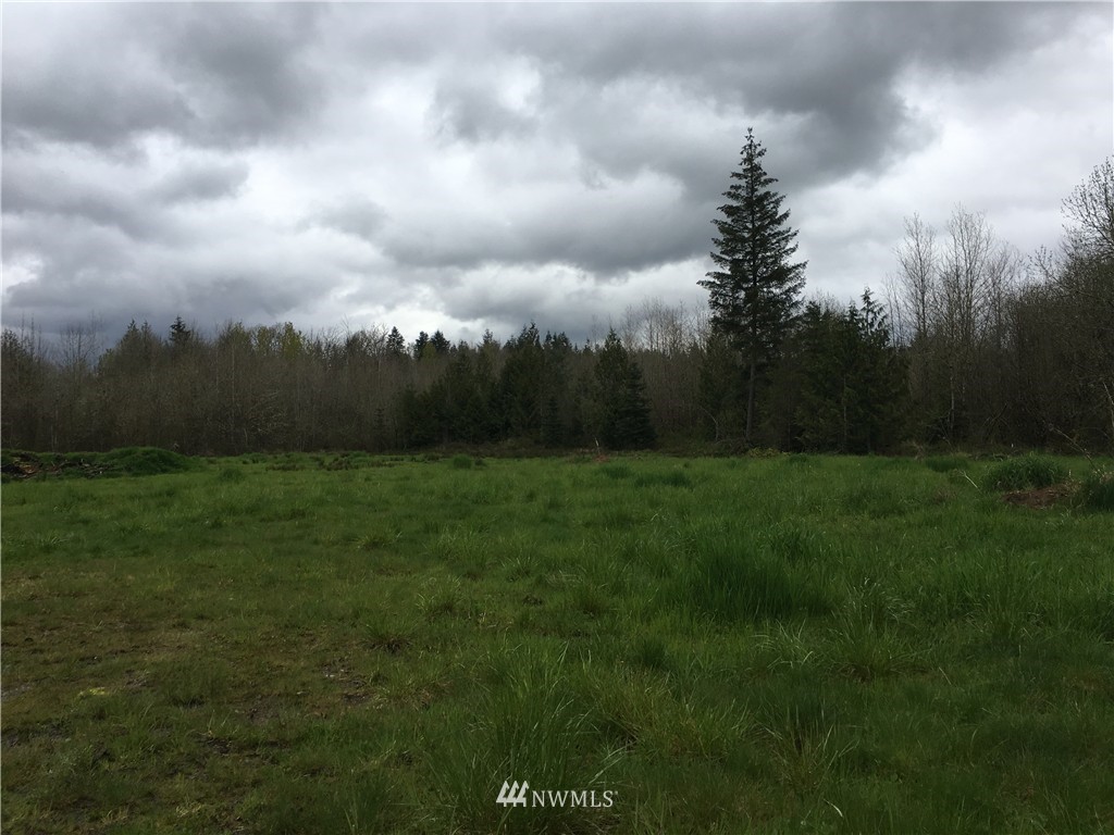 243-48 Sommerville Road Chehalis, WA 98532 - Photo 1 of 5