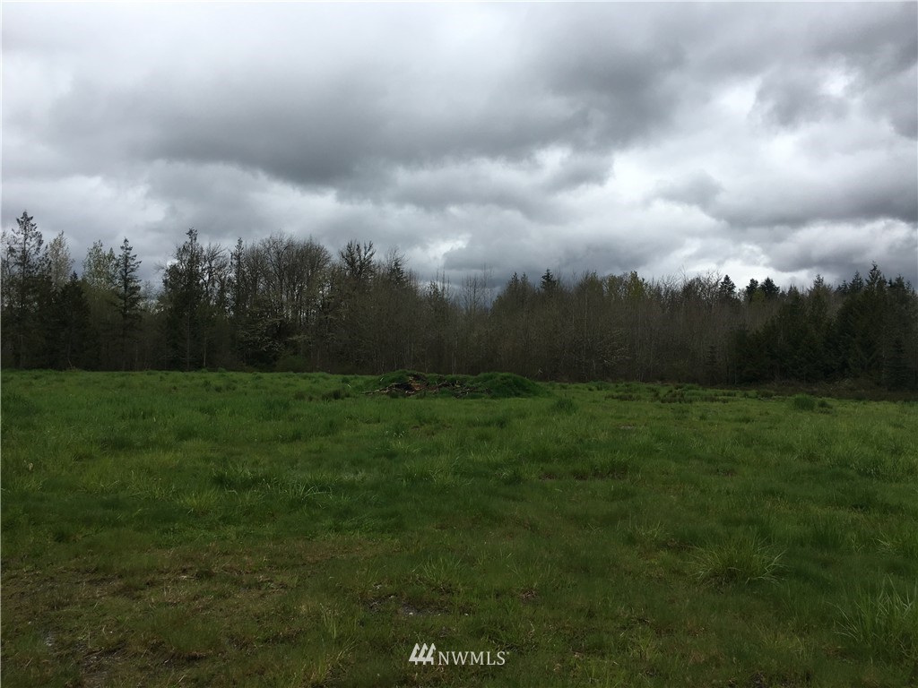 243-48 Sommerville Road Chehalis, WA 98532 - Photo 4 of 5
