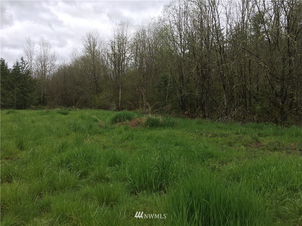 243-48 Sommerville Road Chehalis, WA 98532 - Photo 5 of 5