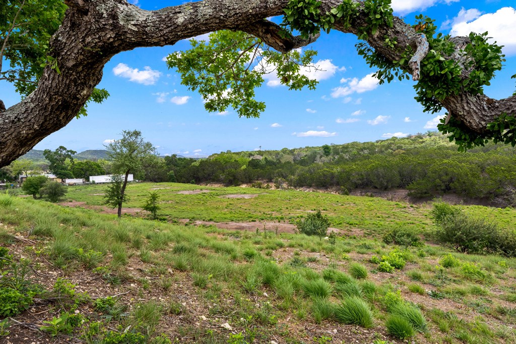 161 Balsly Road East Center Point, TX 78010 - Photo 24 of 31