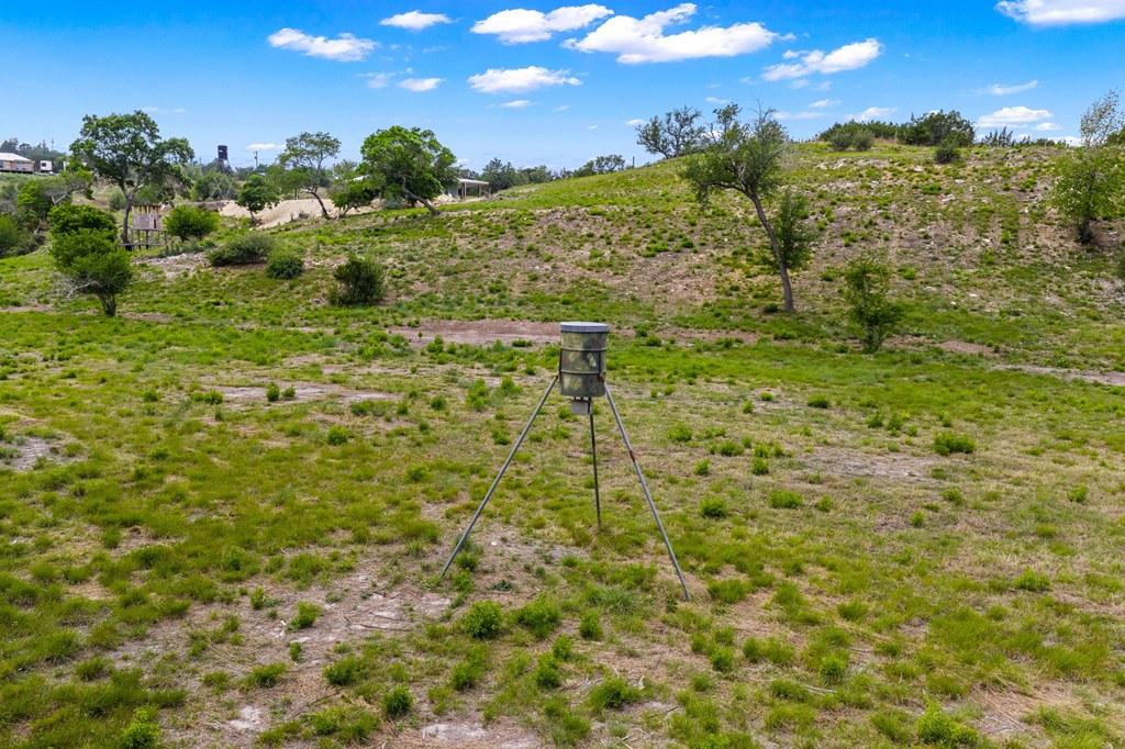 161 Balsly Road East Center Point, TX 78010 - Photo 27 of 31