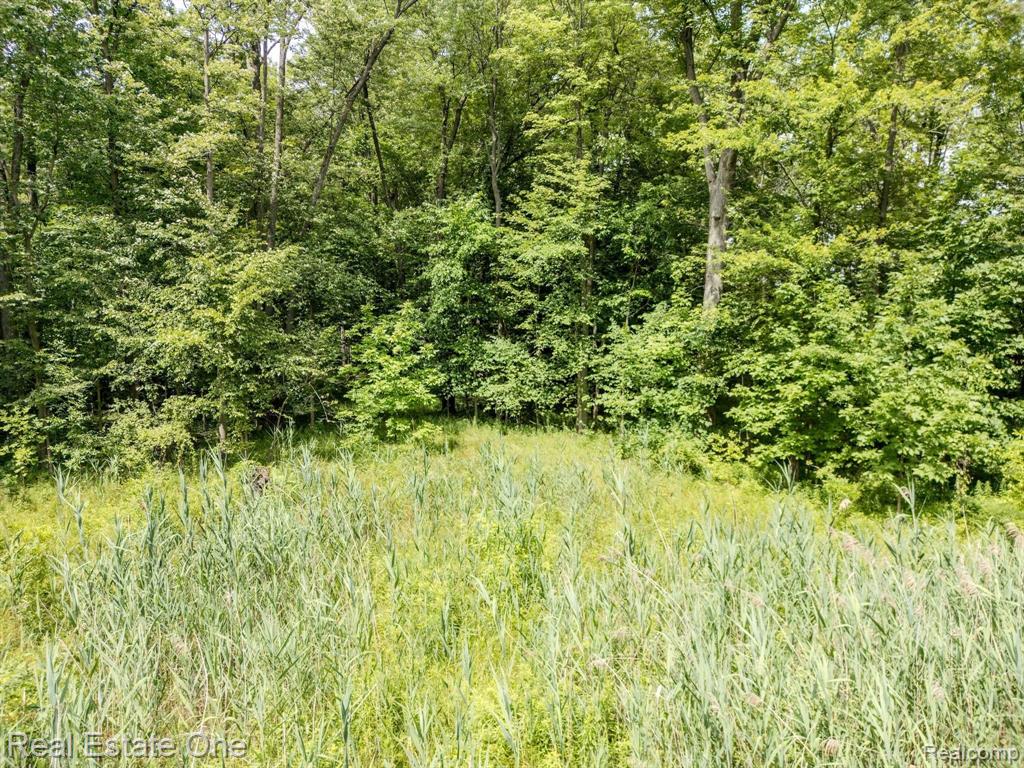9682 Marquette Road Goodells, MI 48027 - Photo 3 of 13
