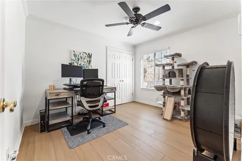 a living room with furniture flowerpot and a table